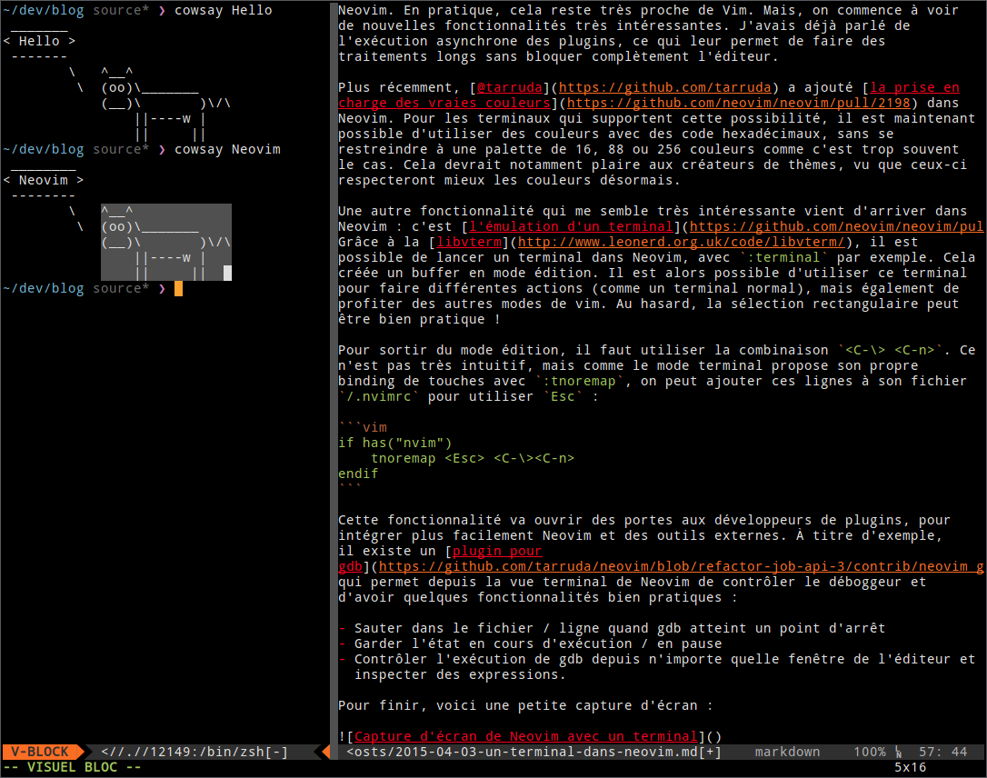 Capture d'écran de Neovim avec un terminal